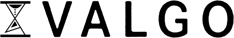 株式会社VALGO